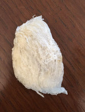 将图片加载到图库查看器，燕窝
